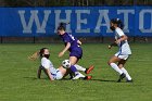 WSoc vs Sronehill  Women’s Soccer vs Stonehill College. : Wheaton, WSoccer, WSoc, Women’s Soccer